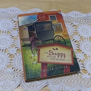Book Sale! 3 for $10! Amish - Volume 3 of Sugarcreek Amish Mysteries